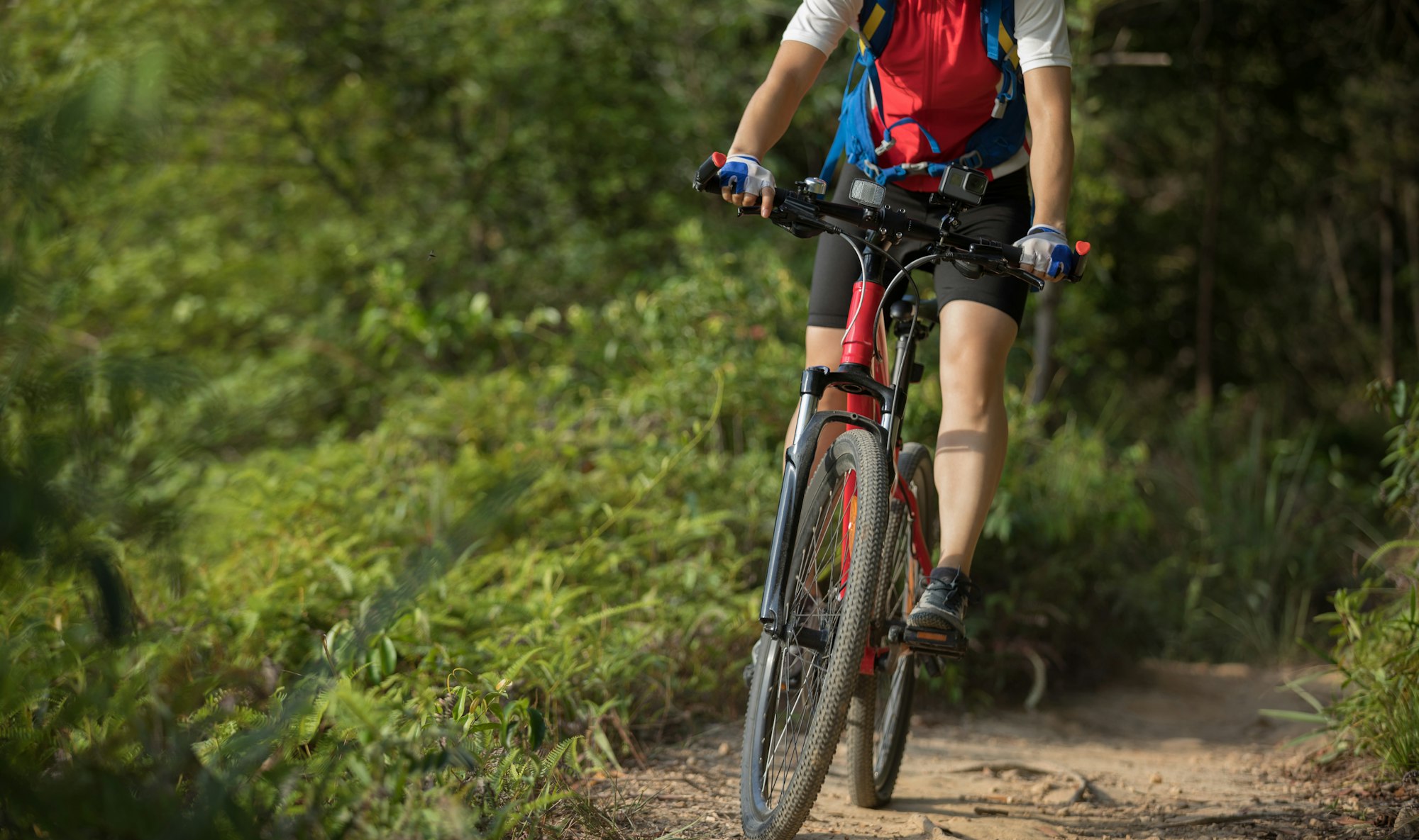 Cycling in the forest