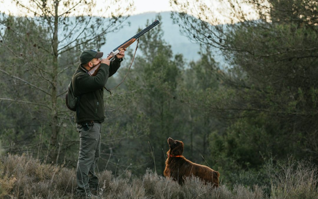 The Hunter’s Best Friend: Essential Care for Hunting Dogs