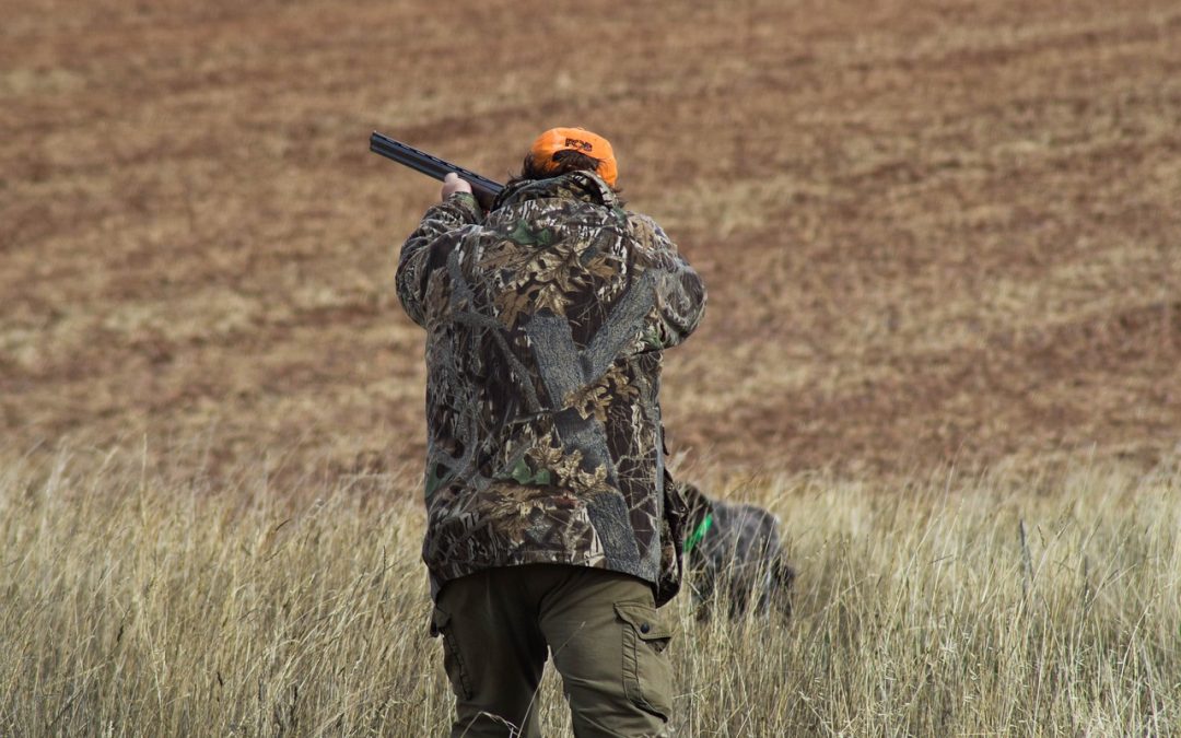 Exploring America’s Premier Pheasant Hunting Destinations